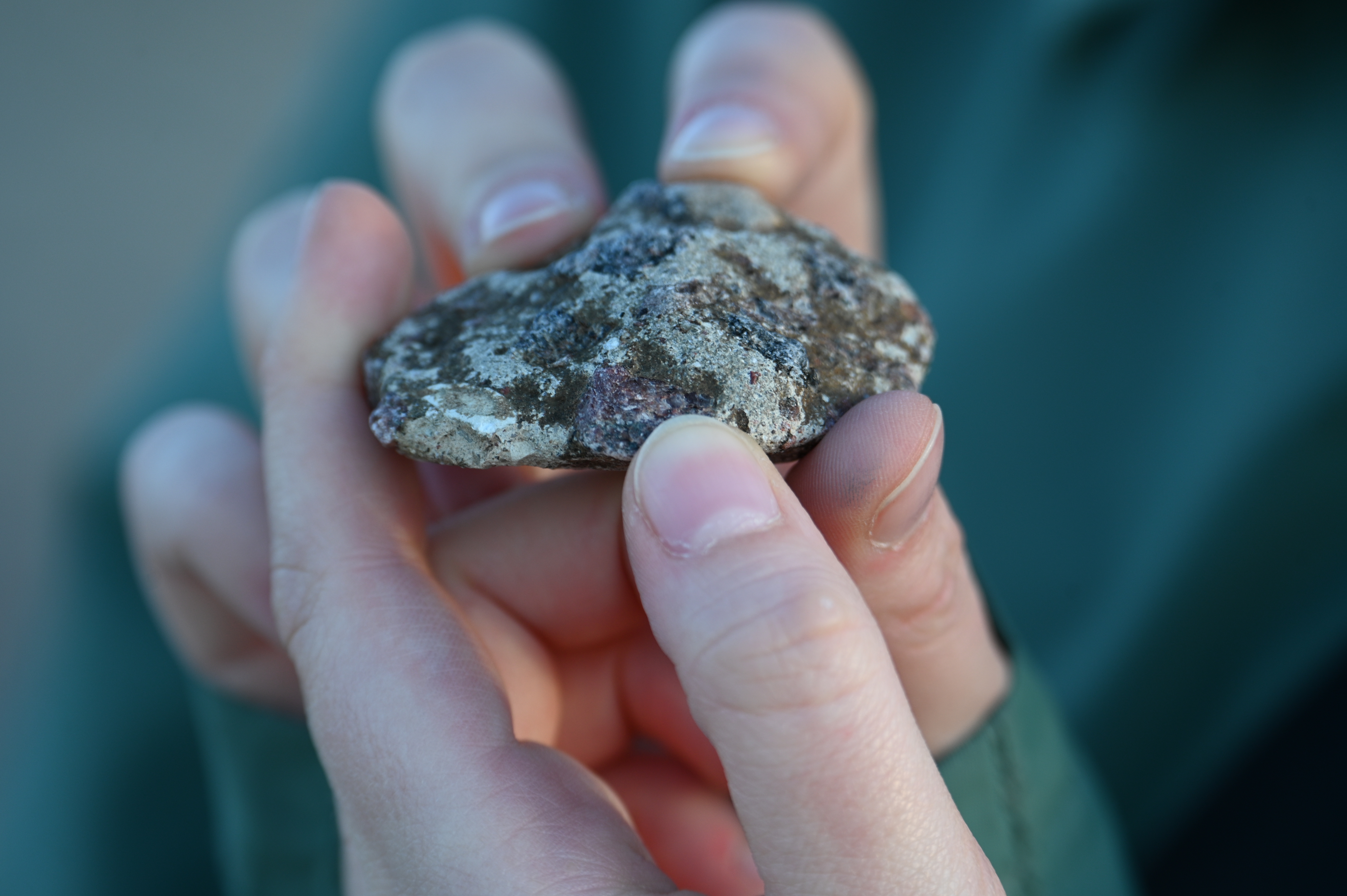 2025/10/18 - walk/DSC_0251.JPG